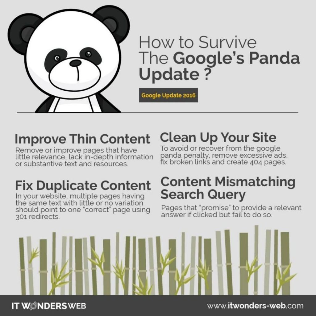 panda seo infographic